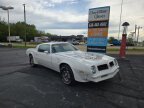 Thumbnail Photo 2 for 1976 Pontiac Firebird Trans Am