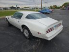 Thumbnail Photo 6 for 1976 Pontiac Firebird Trans Am