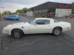 Thumbnail Photo 5 for 1976 Pontiac Firebird Trans Am