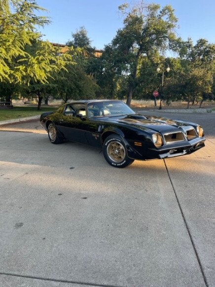 Photo 1 for 1976 Pontiac Firebird