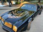 Thumbnail Photo 3 for 1976 Pontiac Firebird