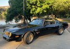 Thumbnail Photo 6 for 1976 Pontiac Firebird