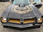 Thumbnail Photo 2 for 1976 Pontiac Firebird