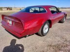 Thumbnail Photo 5 for 1976 Pontiac Firebird