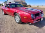 Thumbnail Photo 3 for 1976 Pontiac Firebird