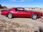 Thumbnail Photo 4 for 1976 Pontiac Firebird