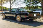 Thumbnail Photo 6 for 1976 Pontiac Firebird