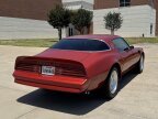 Thumbnail Photo 6 for 1976 Pontiac Firebird Trans Am