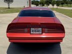 Thumbnail Photo 5 for 1976 Pontiac Firebird Trans Am