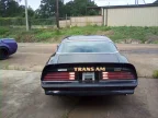 Thumbnail Photo 2 for 1976 Pontiac Firebird Trans Am Coupe