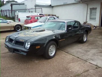 1976 Pontiac Firebird Trans Am Coupe