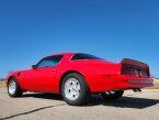 Thumbnail Photo 4 for 1976 Pontiac Trans Am for Sale by Owner