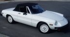 Thumbnail Photo 3 for 1977 Alfa Romeo Spider