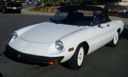Photo 1 for 1977 Alfa Romeo Spider