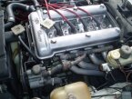 Thumbnail Photo 2 for 1977 Alfa Romeo Spider