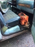Thumbnail Photo 5 for 1977 Chevrolet C/K Truck
