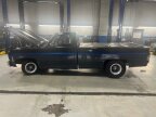 Thumbnail Photo 3 for 1977 Chevrolet C/K Truck