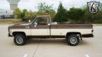 Thumbnail Photo 3 for 1977 Chevrolet C/K Truck Cheyenne