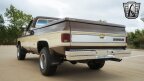 Thumbnail Photo 4 for 1977 Chevrolet C/K Truck Cheyenne