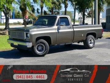 1977 Chevrolet C/K Truck