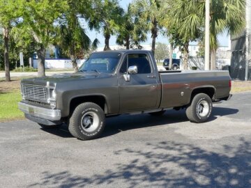 1977 Chevrolet C/K Truck