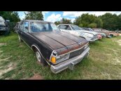 1977 Chevrolet Caprice