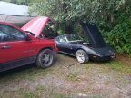 Thumbnail Photo 6 for 1977 Chevrolet Corvette Stingray