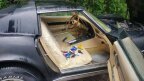 Thumbnail Photo 5 for 1977 Chevrolet Corvette Stingray