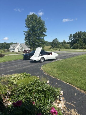 1977 Chevrolet Corvette LT-1
