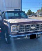 Thumbnail Photo 2 for 1977 Chevrolet Other Chevrolet Models