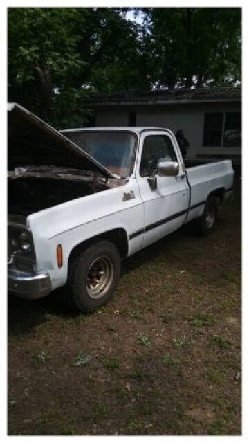 1977 Chevrolet Other Chevrolet Models