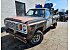 1977 Dodge D/W Truck