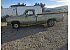 1977 Dodge D/W Truck