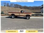 Thumbnail Photo 3 for 1977 Ford F150