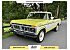 1977 Ford F150