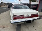 Thumbnail Photo 4 for 1977 Ford Thunderbird