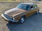 Thumbnail Photo 6 for 1977 Jaguar XJ12 Sedan