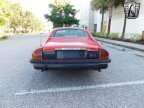 Thumbnail Photo 4 for 1977 Jaguar XJS