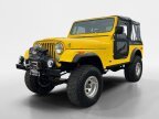 Thumbnail Photo 3 for 1977 Jeep CJ-7