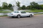 Thumbnail Photo 5 for 1977 Pontiac Firebird