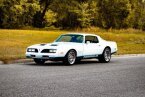 Thumbnail Photo 1 for 1977 Pontiac Firebird