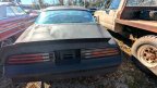 Thumbnail Photo 5 for 1977 Pontiac Firebird Coupe