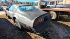 Thumbnail Photo 6 for 1977 Pontiac Firebird Coupe