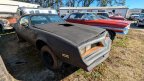 Thumbnail Photo 2 for 1977 Pontiac Firebird Coupe