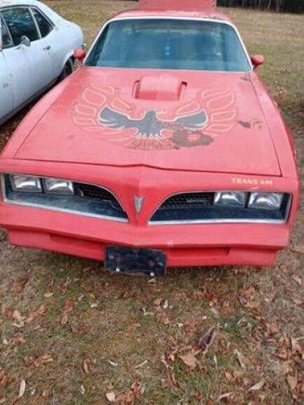 Photo 1 for 1977 Pontiac Firebird