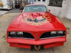 Thumbnail Photo 4 for 1977 Pontiac Firebird