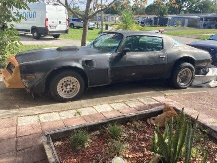 Photo 1 for 1977 Pontiac Firebird