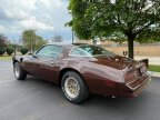 Thumbnail Photo 3 for 1977 Pontiac Firebird