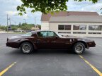 Thumbnail Photo 6 for 1977 Pontiac Firebird