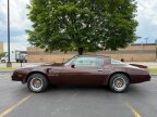 Thumbnail Photo 2 for 1977 Pontiac Firebird